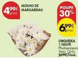 Pingo Doce Orquidea 1 haste promoção