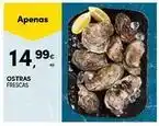 Continente Bom dia Ostras promoção