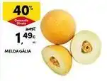 Continente Bom dia Meloa galia promoção
