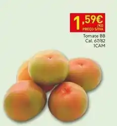 Recheio Tomate bb cal. 67/82 1cam promoção