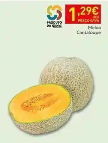 Recheio Meloa cantaloupe promoção