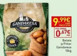 Recheio Premium - batata p/fritar promoção