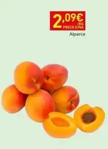 Recheio Alperce promoção