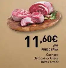 Recheio Angus - cachaço de bovino angus best farmer promoção