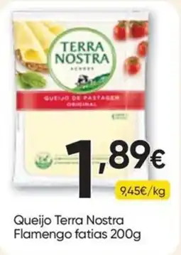Froiz Queijo terra nostra flamengo fatias promoção