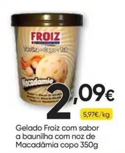 Froiz Gelado froiz com sabor a baunilha com noz de macadâmia copo promoção