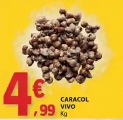 E.Leclerc caracol vivo promoção