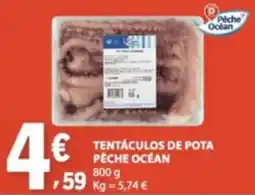 E.Leclerc tentáculos de pota pêche océan promoção