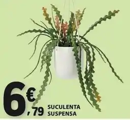 E.Leclerc Suculenta suspensa promoção