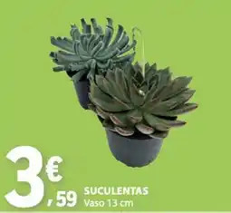 E.Leclerc Suculentas promoção