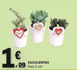 E.Leclerc Suculentas promoção