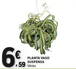 E.Leclerc Planta vaso suspensa promoção