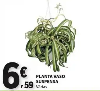 Planta vaso suspensa