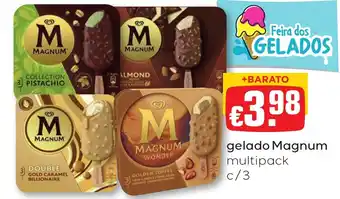 Gelado magnum multipack