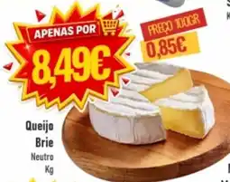 Belita Queijo Brie Neutro promoção