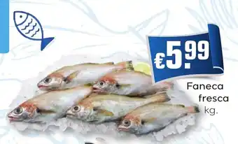 Bolama Faneca fresca promoção
