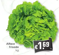 Bolama Alface frisada promoção