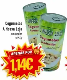 Belita Cogumelos a nossa loja laminados promoção