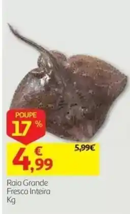 Auchan Raia Grande Fresca Inteira promoção