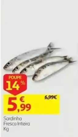 Auchan Sardinha Fresca Inteira promoção