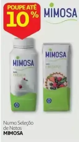 Auchan Natas Mimosa promoção