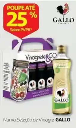 Auchan Vinagre & Go Gallo promoção