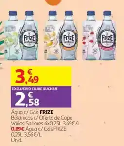 Auchan Água c/ Gás FRIZE Botânicos c/ Oferta de Copo promoção