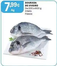 Intermarché Dourada de viveiro promoção