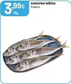 Intermarché Carapau medio promoção