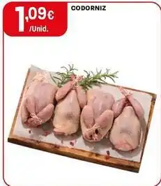 Intermarché Codorniz promoção