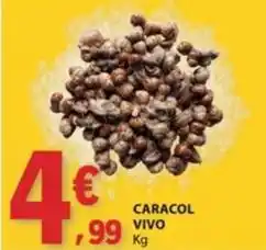 E.Leclerc Caracol vivo promoção
