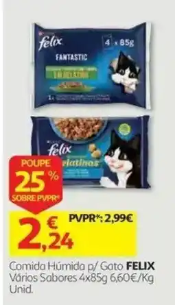 Auchan comida húmida p/ gato felix promoção