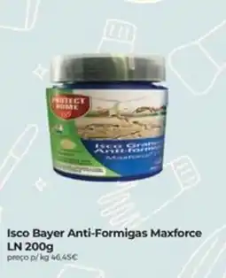 Aqui é fresco Isco Bayer Anti-Formigas Maxforce promoção