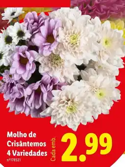 Lidl Molho de Crisântemos 4 Variedades promoção