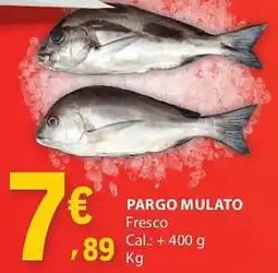 E.Leclerc Pargo mulato promoção