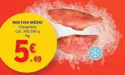 E.Leclerc Red fish médio promoção