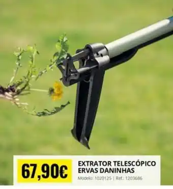 Extrator telescópico ervas daninhas