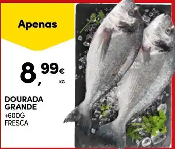 Dourada grande