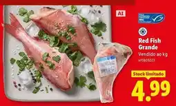 Lidl Red fish grande promoção