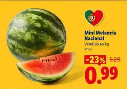 Lidl Mini Melancia Nacional promoção