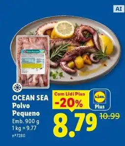 Lidl Ocean Sea Polvo Pequeno promoção