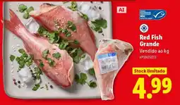 Lidl Red Fish Grande promoção