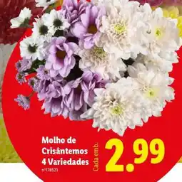 Lidl Molho de Crisântemos 4 Variedades promoção