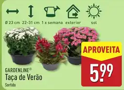 ALDI Gardenline taça de verão sortido promoção