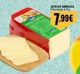 Neomáquina Queijo mimosa flamengo promoção