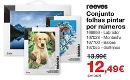 Staples reeves conjunto folhas pintar por números promoção