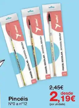 Staples Pincéis promoção