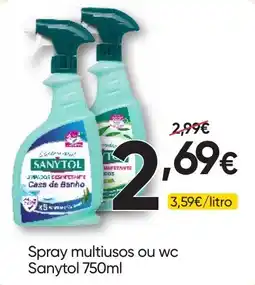 Froiz Spray multiusos ou wc Sanytol promoção