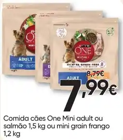 Froiz Comida cães One Mini adult promoção