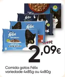 Froiz Comida gatos Félix promoção